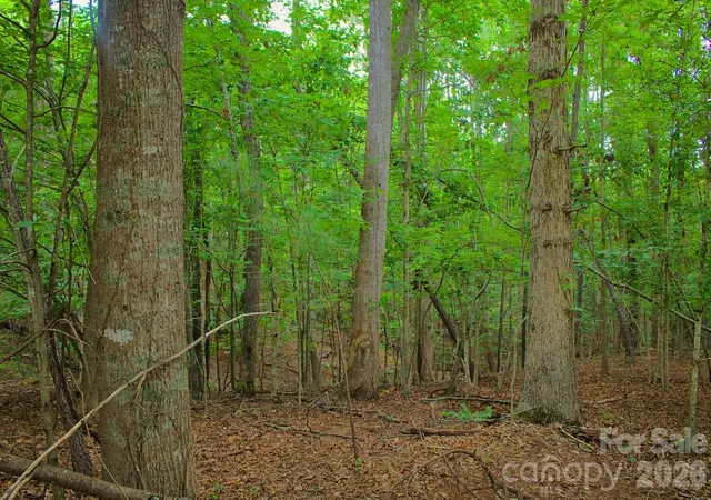 4th image of 0 Creekside Cir #110, Rutherfordton, NC 28139 | MLS# 4412182