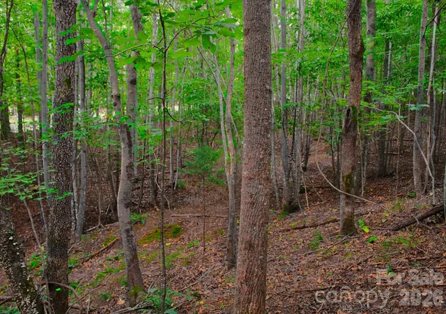 5th image of 0 Creekside Cir #110, Rutherfordton, NC 28139 | MLS# 4412182