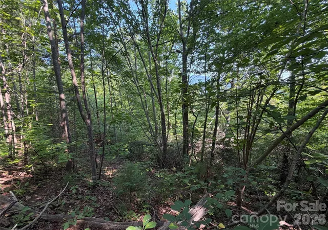 Photo 2 of Land for sale at 00 Holland Dr #24, Columbus, NC 28722 | MLS# 4412196 | Listing updated on 2026-10-02