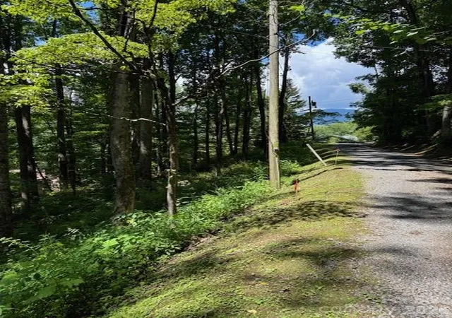 Photo 2 of Land for sale at Lot 49 Rocky Ridge Rd #49, Balsam, NC 28707 | MLS# 4412260 | Listing updated on 2026-08-19