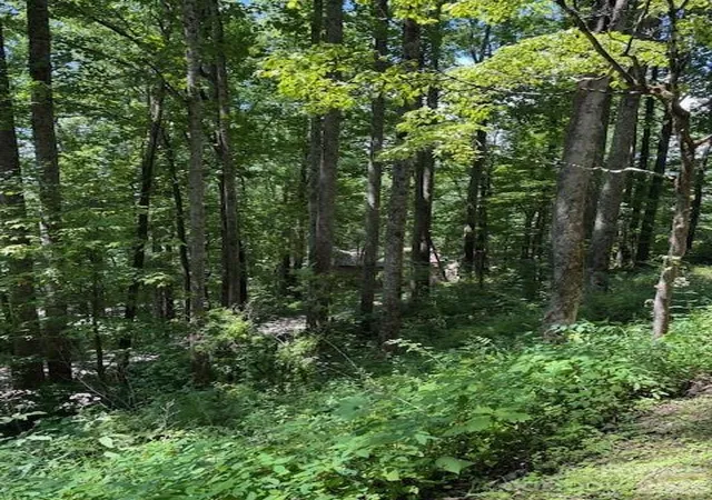 Photo 3 of Land for sale at Lot 49 Rocky Ridge Rd #49, Balsam, NC 28707 | MLS# 4412260 | Listing updated on 2026-08-19