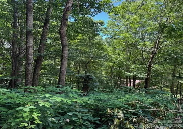 Photo 4 of Land for sale at Lot 49 Rocky Ridge Rd #49, Balsam, NC 28707 | MLS# 4412260 | Listing updated on 2026-08-19