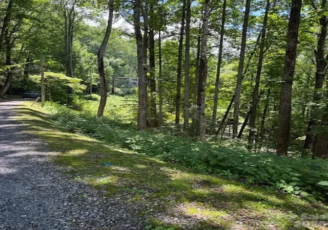 Photo 5 of Land for sale at Lot 49 Rocky Ridge Rd #49, Balsam, NC 28707 | MLS# 4412260 | Listing updated on 2026-08-19