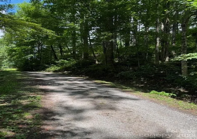 Photo 8 of Land for sale at Lot 49 Rocky Ridge Rd #49, Balsam, NC 28707 | MLS# 4412260 | Listing updated on 2026-08-19