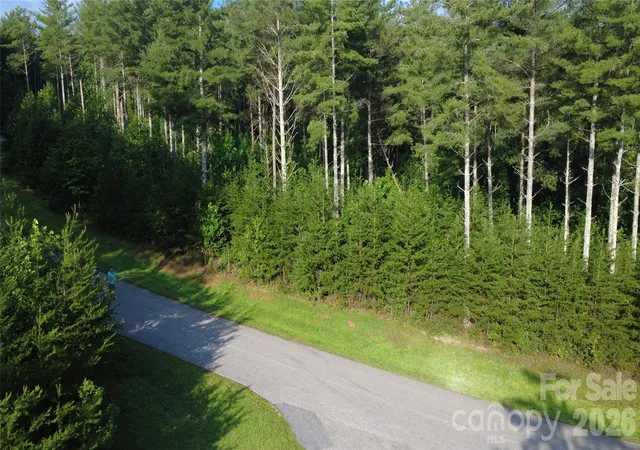 4th image of Tbd Peninsula Reserve Dr #6 & 27, Nebo, NC 28761 | MLS# 4412299