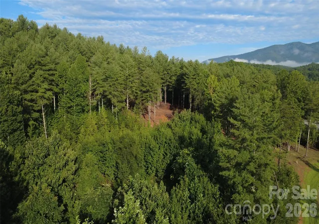 5th image of Tbd Peninsula Reserve Dr #6 & 27, Nebo, NC 28761 | MLS# 4412299