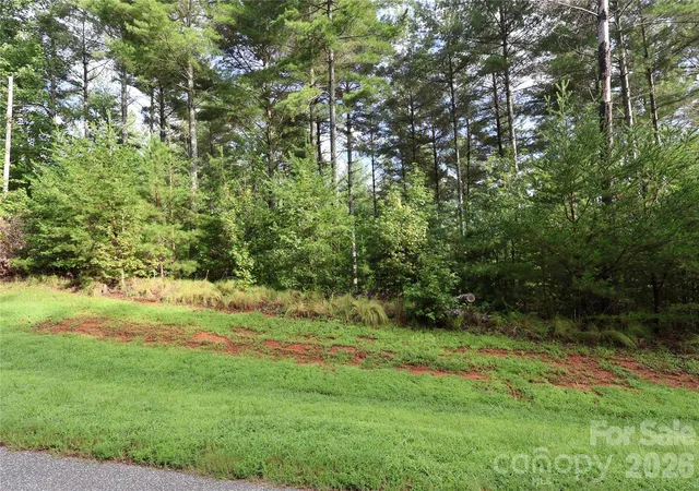 5th image of Tbd Peninsula Reserve Dr #6, Nebo, NC 28761 | MLS# 4412300