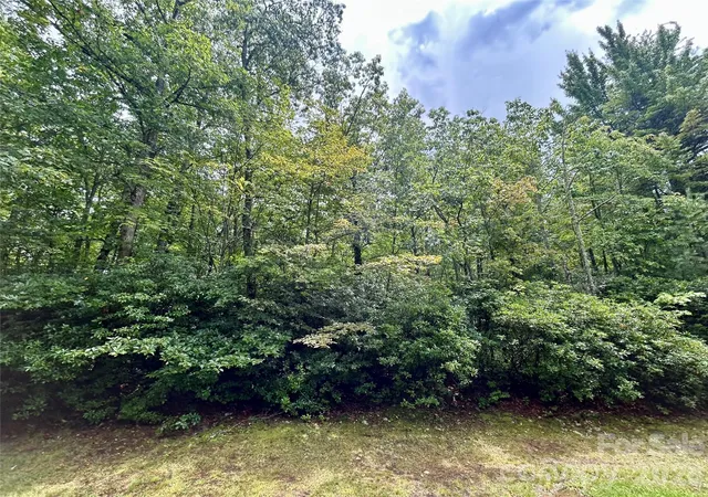 Photo 4 of Land for sale at Lot 40 Hawk Mountain Rd, Lake Toxaway, NC 28747 | MLS# 4412362 | Listing updated on 2026-08-13