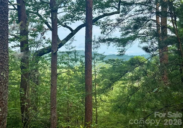 1st image of V/l Tahawus Dr #92, Bostic, NC 28018 | MLS# 4412377
