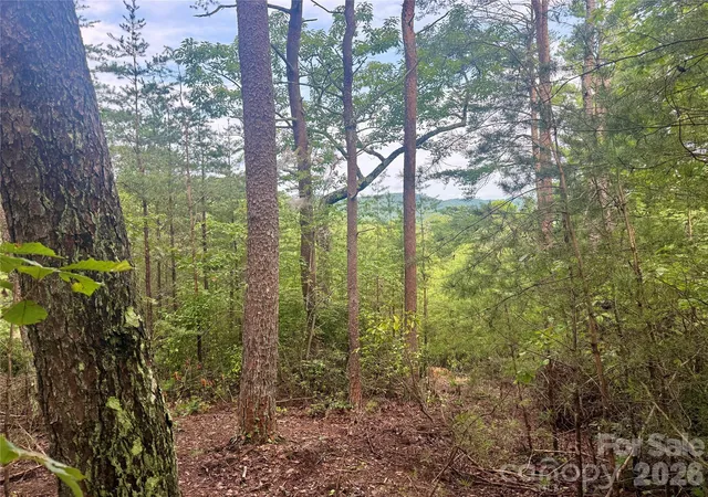 2nd image of V/l Tahawus Dr #92, Bostic, NC 28018 | MLS# 4412377