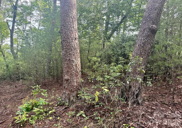 3rd image of V/L Tahawus Dr #92, Bostic, NC 28018 | MLS# 4412377
