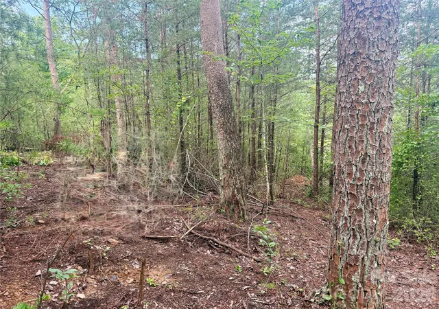 4th image of V/L Tahawus Dr #92, Bostic, NC 28018 | MLS# 4412377