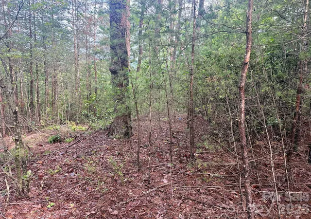 5th image of V/L Tahawus Dr #92, Bostic, NC 28018 | MLS# 4412377