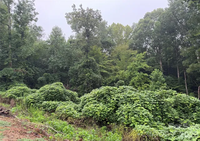 14th image of 00 Whitt Rd, Piedmont, SC 29673 | MLS# 4412391