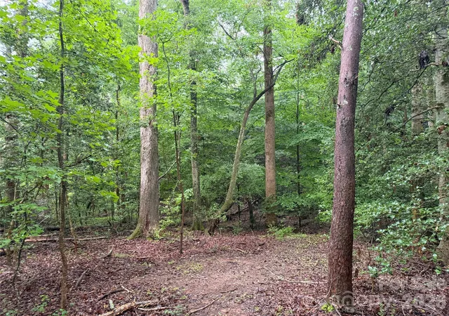 Photo 3 of Land for sale at 00 Whitt Rd, Piedmont, SC 29673 | MLS# 4412391 | Listing updated on 2026-08-10