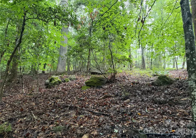 Photo 3 of Land for sale at 00 Whitt Rd, Piedmont, SC 29673 | MLS# 4412391 | Listing updated on 2026-09-29