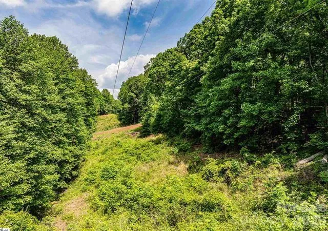 Photo 1 of Land for sale at 67 & 68 Wildflower Ln, Travelers Rest, SC 29690 | MLS# 4412394 | Listing updated on 2026-10-19