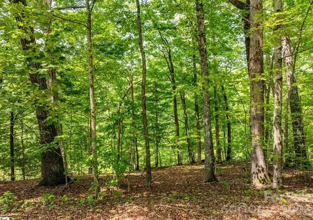 Photo 3 of Land for sale at 67 & 68 Wildflower Ln, Travelers Rest, SC 29690 | MLS# 4412394 | Listing updated on 2026-10-19