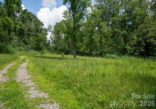 3rd image of 278 Shope Creek Rd, Asheville, NC 28805 | MLS# 4412538