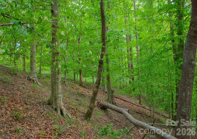 2nd image of 0 Cross Creek Dr #136+136A, Rutherfordton, NC 28139 | MLS# 4412566