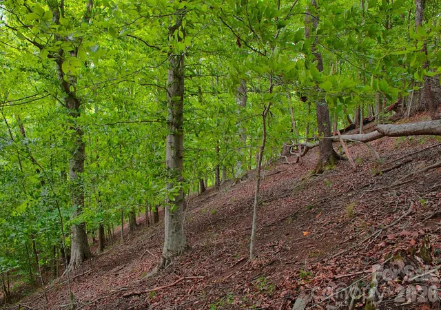 3rd image of 0 Cross Creek Dr #136+136A, Rutherfordton, NC 28139 | MLS# 4412566