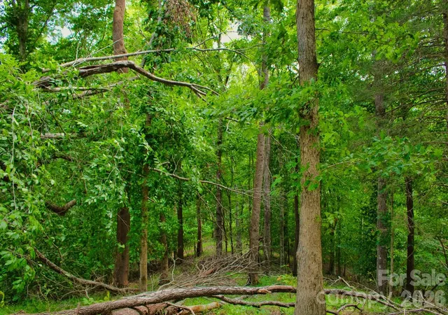 4th image of 0 Cross Creek Dr #136+136A, Rutherfordton, NC 28139 | MLS# 4412566