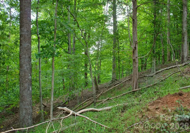 5th image of 0 Cross Creek Dr #136+136A, Rutherfordton, NC 28139 | MLS# 4412566