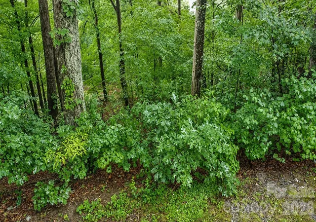 2nd image of #46 Hemlock Trl, Columbus, NC 28722 | MLS# 4412679