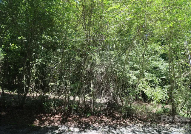 1st image of 0 Shady Nook Cir, Forest City, NC 28043 | MLS# 4412738