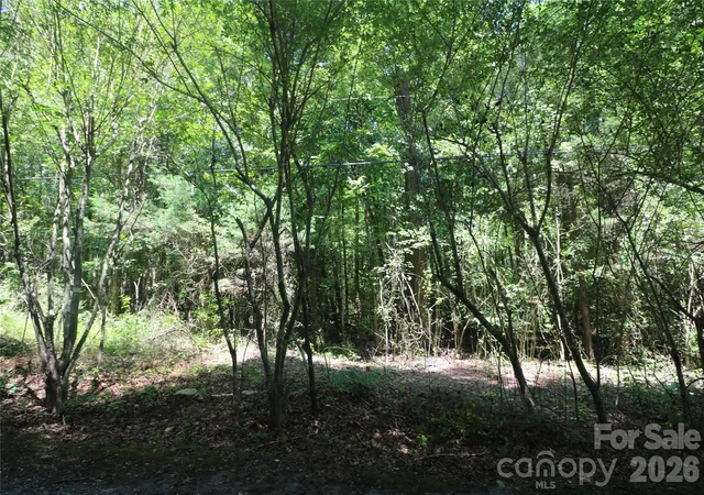 3rd image of 0 Shady Nook Cir, Forest City, NC 28043 | MLS# 4412738