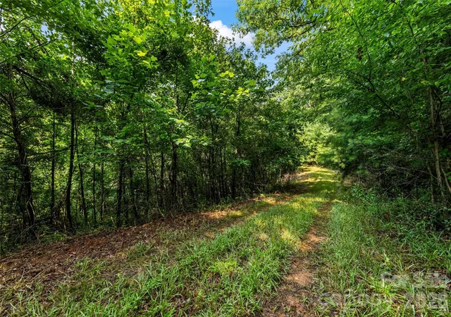Photo 4 of Land for sale at 99999 Big Sandy Mush Rd, Leicester, NC 28748 | MLS# 4412800 | Listing updated on 2026-08-10