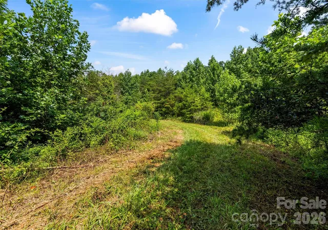 Photo 5 of Land for sale at 99999 Big Sandy Mush Rd, Leicester, NC 28748 | MLS# 4412800 | Listing updated on 2026-08-10