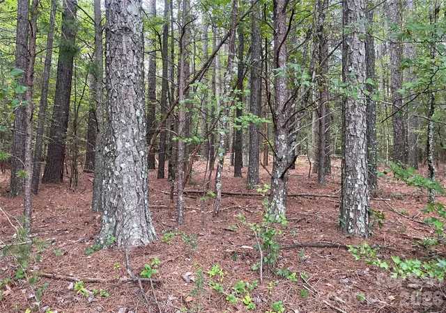 Photo 3 of Land for sale at 01 Fishermans Ln #1, Maiden, NC 28650 | MLS# 4412814 | Listing updated on 2026-10-01