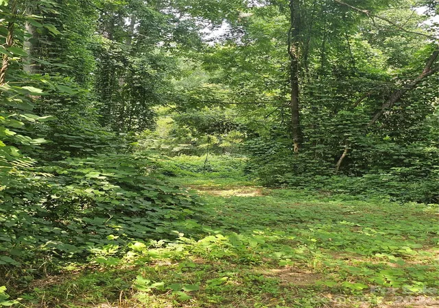Photo 3 of Land for sale at 0 US 70 Hwy, Connelly Springs, NC 28612 | MLS# 4412909 | Listing updated on 2026-10-01