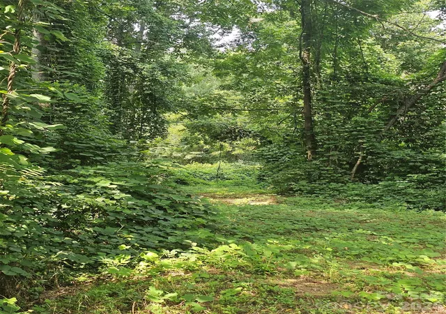 Photo 4 of Land for sale at 0 US 70 Hwy, Connelly Springs, NC 28612 | MLS# 4412909 | Listing updated on 2026-10-01