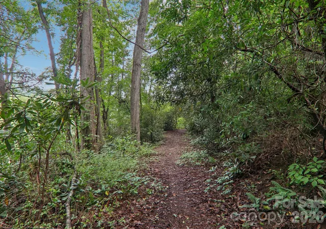 43rd image of 100 Vista Lake Dr #2, Candler, NC 28715 | MLS# 4412936