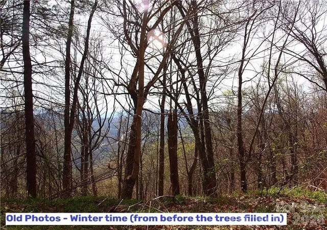 Photo 3 of Land for sale at 1000 Yonah Trl #7, Waynesville, NC 28785 | MLS# 4413000 | Listing updated on 2026-09-21