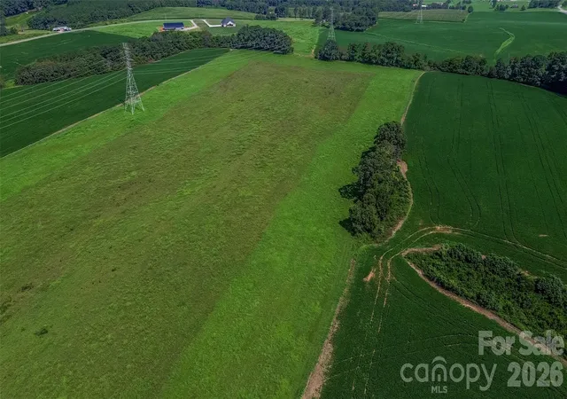 Photo 4 of Land for sale at 40ac Amble Rd, Olin, NC 28660 | MLS# 4413054 | Listing updated on 2026-08-12