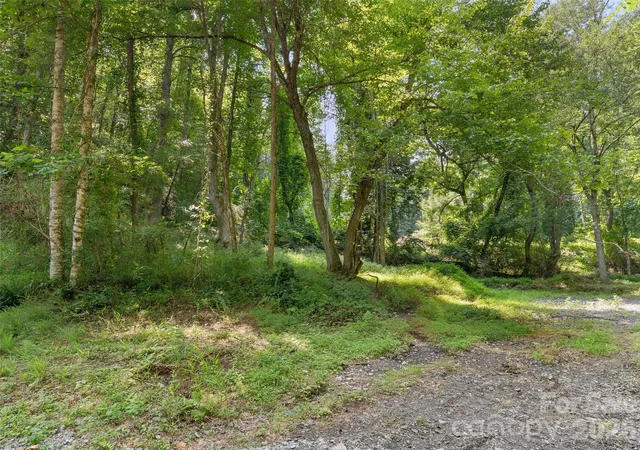 Photo 2 of Land for sale at 1110 Probart St #3, Brevard, NC 28712 | MLS# 4413057 | Listing updated on 2026-08-11