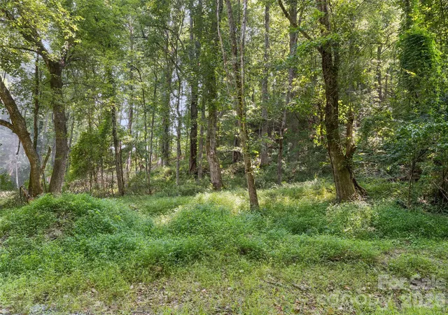 Photo 4 of Land for sale at 1110 Probart St #3, Brevard, NC 28712 | MLS# 4413057 | Listing updated on 2026-08-11