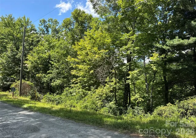 5th image of 0 Quails Run Blvd, Lake Lure, NC 28746 | MLS# 4413085