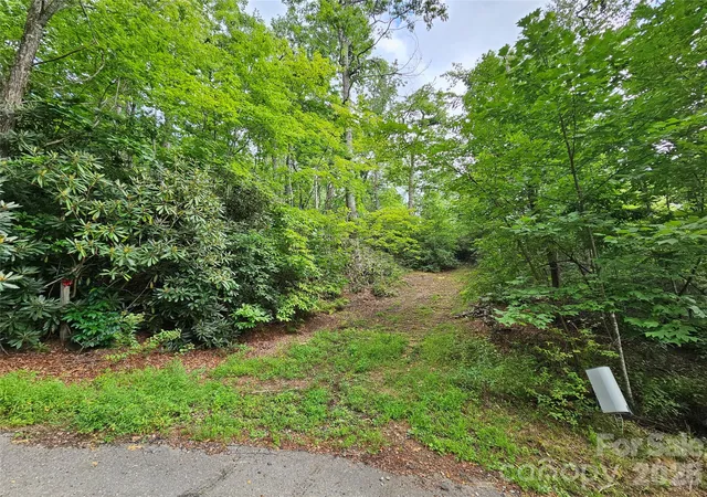 Photo 2 of Land for sale at 98 Dl To Earth Dr #98, Burnsville, NC 28714 | MLS# 4413101 | Listing updated on 2026-08-22