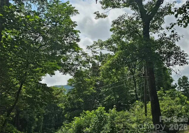 Photo 2 of Land for sale at 98 Dl To Earth Dr #98, Burnsville, NC 28714 | MLS# 4413101 | Listing updated on 2026-09-28