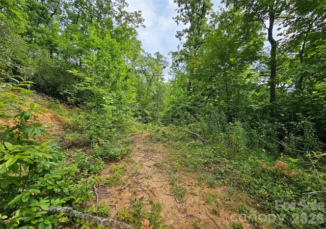 Photo 3 of Land for sale at 98 Dl To Earth Dr #98, Burnsville, NC 28714 | MLS# 4413101 | Listing updated on 2026-08-22