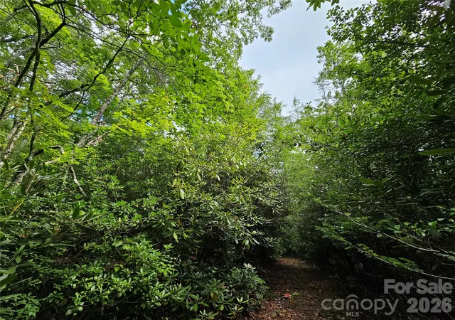Photo 33 of Land for sale at 98 Dl To Earth Dr #98, Burnsville, NC 28714 | MLS# 4413101 | Listing updated on 2026-08-22