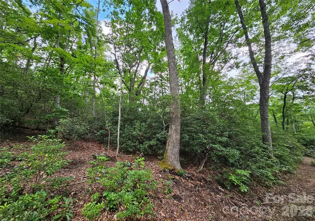 Photo 4 of Land for sale at 98 Dl To Earth Dr #98, Burnsville, NC 28714 | MLS# 4413101 | Listing updated on 2026-08-22