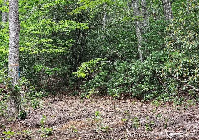Photo 5 of Land for sale at 98 Dl To Earth Dr #98, Burnsville, NC 28714 | MLS# 4413101 | Listing updated on 2026-08-22
