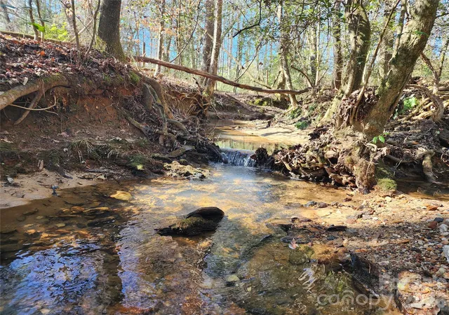 Photo 3 of Land for sale at 0 Pea Ridge Rd, Lawndale, NC 28090 | MLS# 4413134 | Listing updated on 2026-08-13
