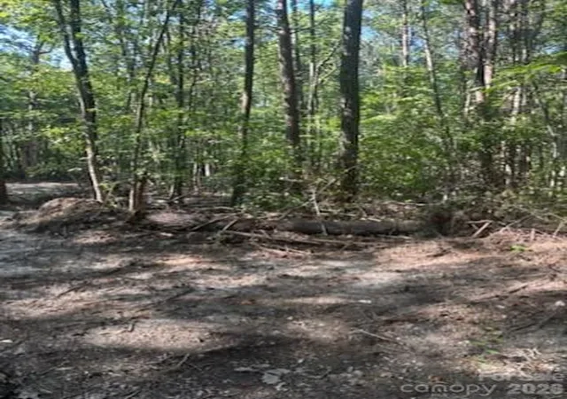 Photo 2 of Land for sale at Tbd Bud Arndt Rd, Maiden, NC 28650 | MLS# 4413162 | Listing updated on 2026-09-18