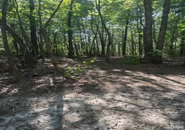Photo 3 of Land for sale at Tbd Bud Arndt Rd, Maiden, NC 28650 | MLS# 4413162 | Listing updated on 2026-09-18